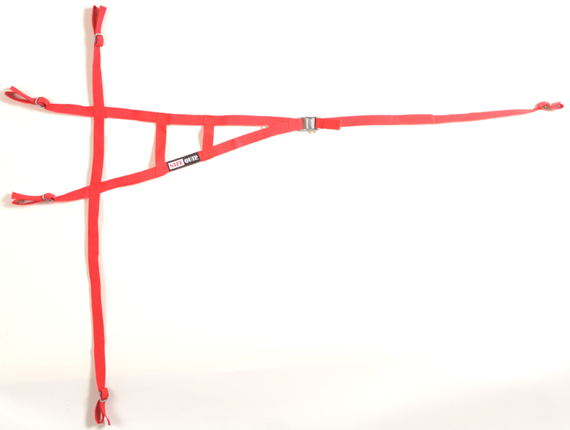 (image for) TRIANGLE ROLLCAGE NET RED 23.99