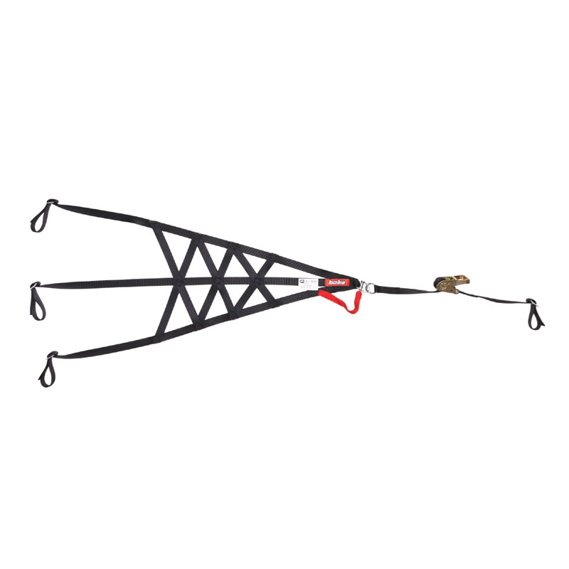 (image for) SFI 37.1 SIDE ROLL CAGE NET BLACK 99.94