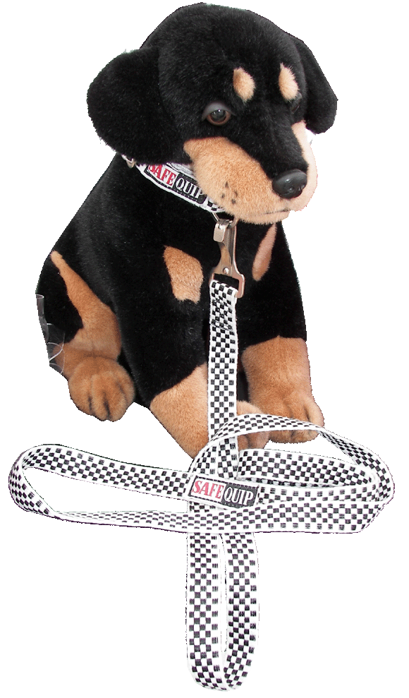 (image for) CHECKERBOARD DOG LEASH